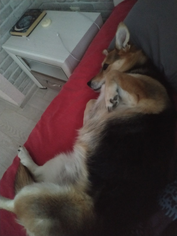 изображение_viber_2023-03-18_23-04-47-091