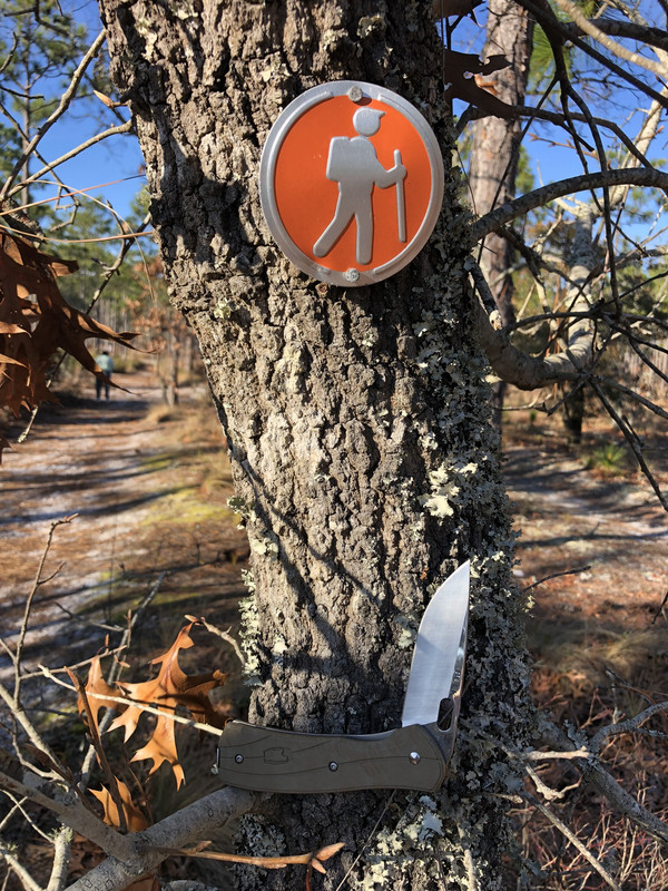 Buck_345_Vantage_on_trail.jpg
