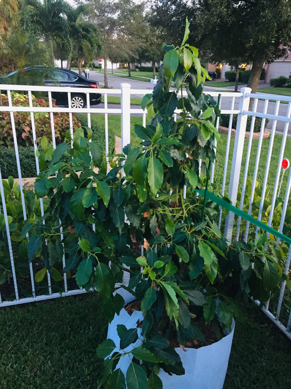 7E75524D-9274-4807-9F94-1532383E07B1