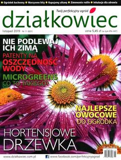 Działkowiec 11/2019 Działkowiec 11/2019