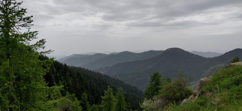 IMG_20190609_145147.jpg.1