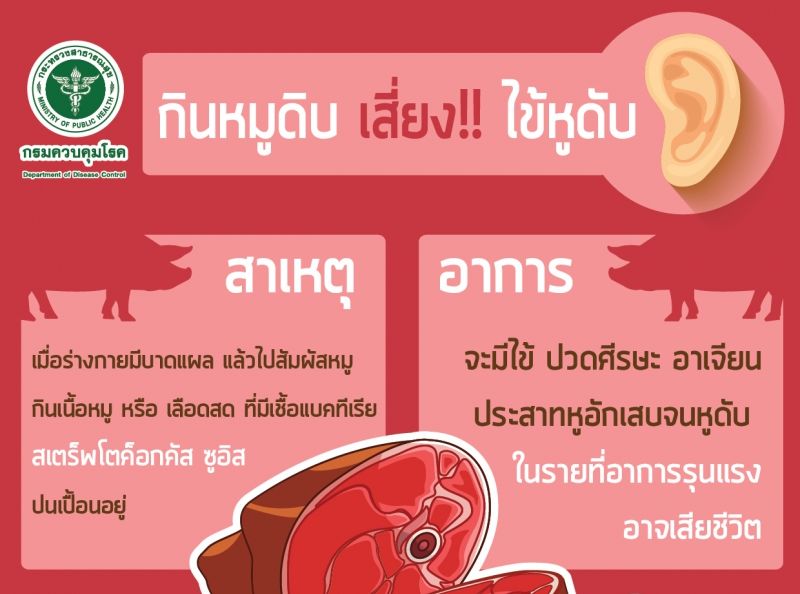 กินเลี้ยงฉลองเทศกาลปีใหม่ ระวัง!! กินหมูสุกๆดิบๆ เสี่ยงป่วย โรคไข้หูดับ อาจหูหนวกถาวรได้