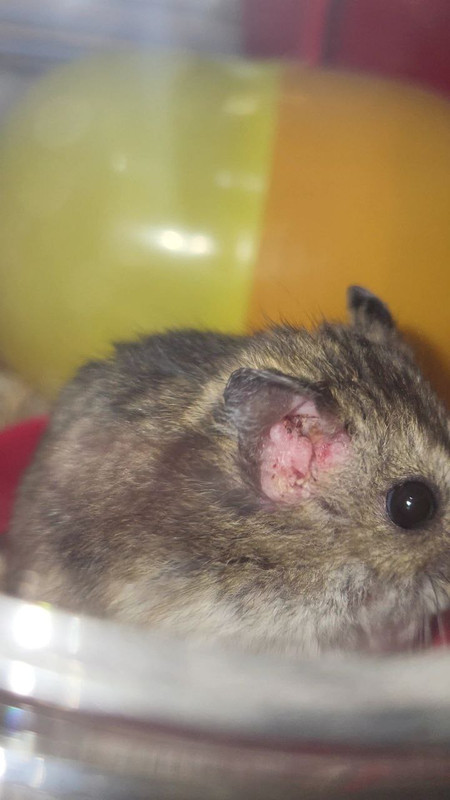 photo_5942869660074622983_y