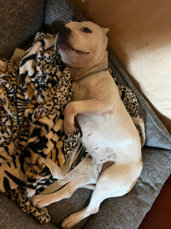 98462C66-A244-4446-B963-FBBEC657D8C1