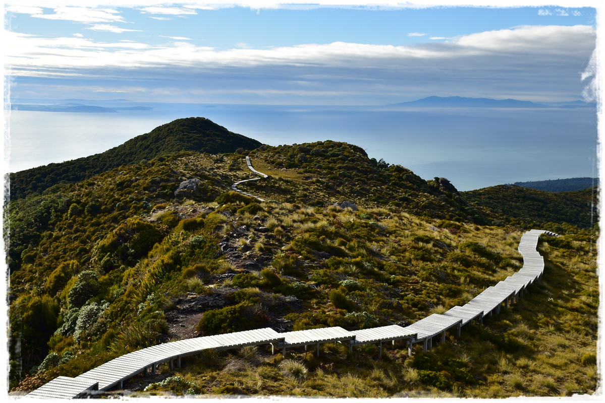 Fiordland NP: Humpridge Track (febrero 2021) - Escapadas y rutas por la Nueva Zelanda menos conocida (39)