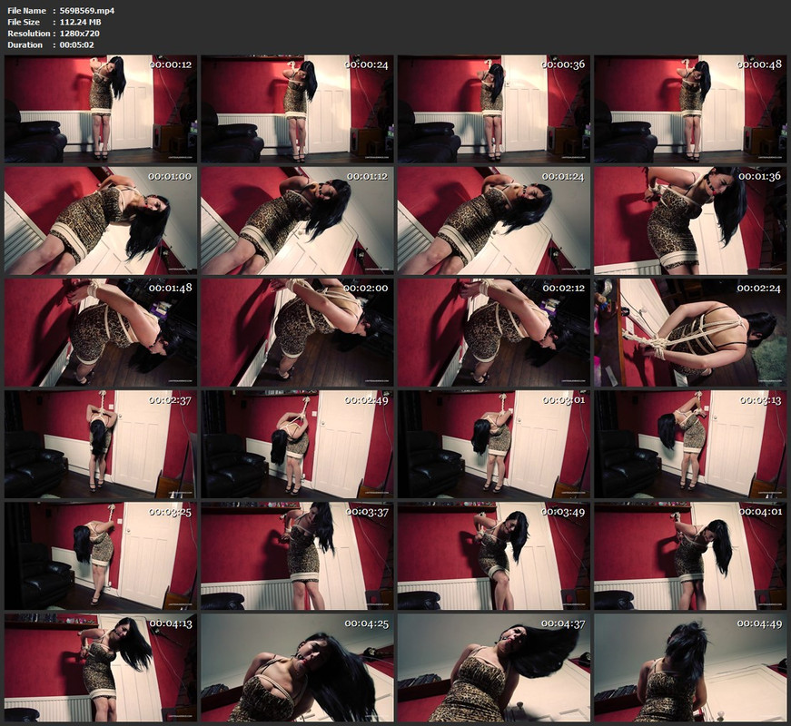 569B569.mp4