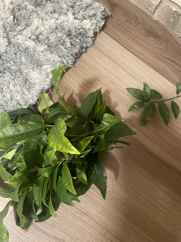 A01699BC-267A-451F-9E2C-1477BE94C56E