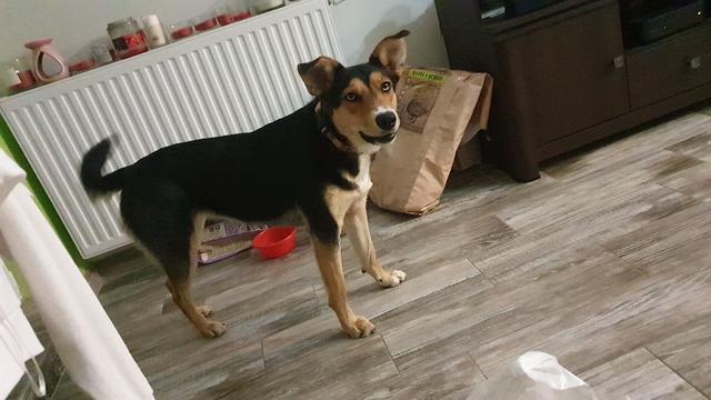 81454675-2752803781406924-29813777048692