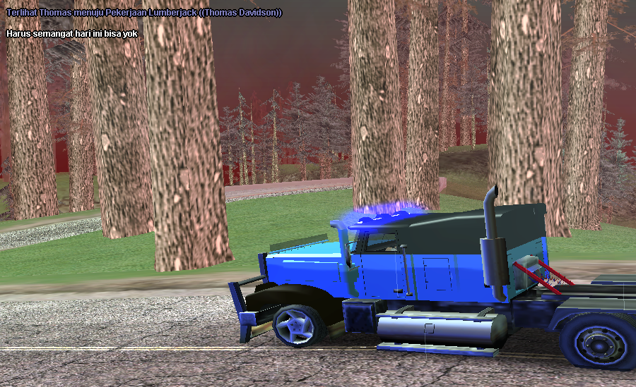 SS CEKA 31