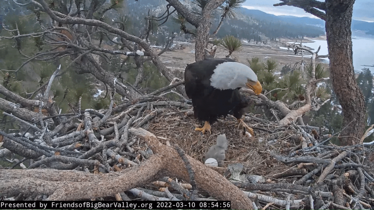 Webp.net-gifmaker (1)