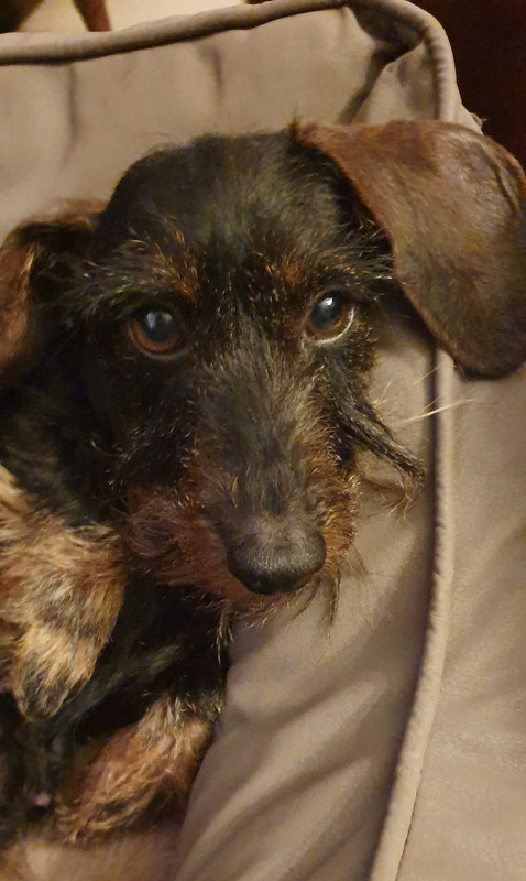 [Image: 20221128-183833.jpg]