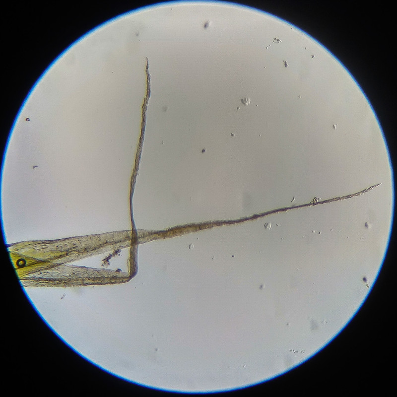 IMG 20250614 124056 HDR