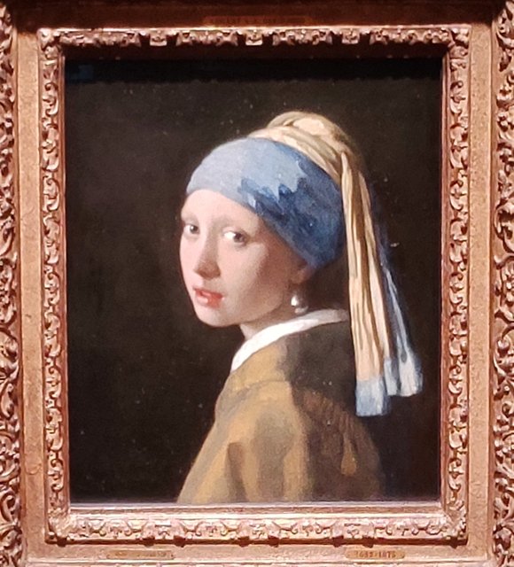 Escapada por Amsterdam - La Haya - Delft - Rotterdam - Leiden - Londres - Blogs de Europa - Museo Mauritshuis, decepcionante Depot Boijmans y callejeo por Delft y Leiden (31)