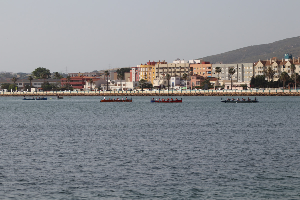 IMG-2518
