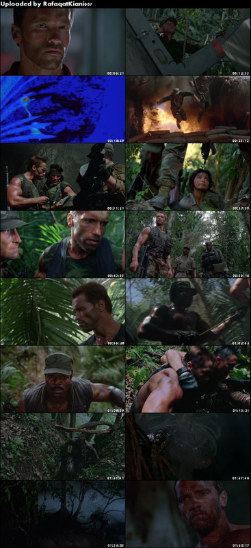 Predator (1987) BluRay 1080p DD5 1 x264-BHDStudio