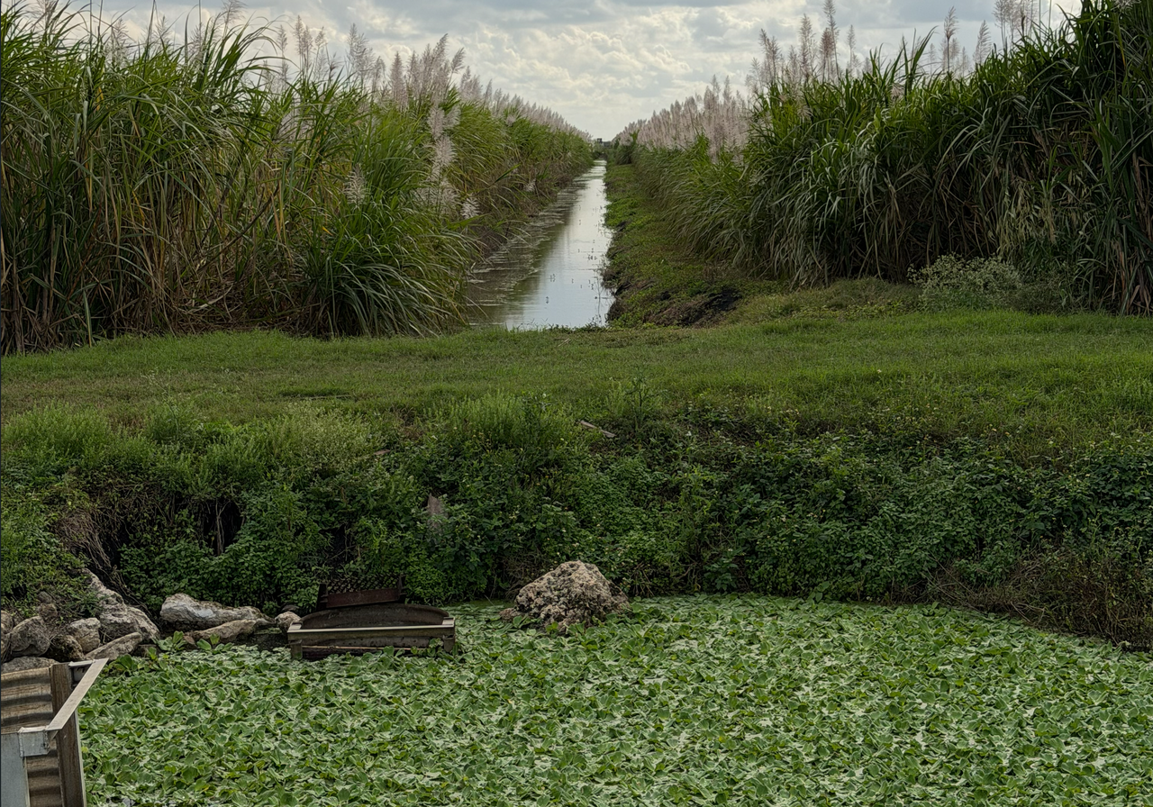 [Image: South-Of-Lake-Okee-Chobee7.png]