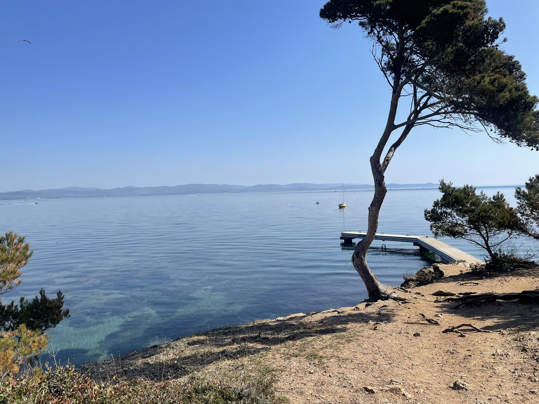 D81C81E0-9AB4-46F9-88A2-F9A5C7B0213C