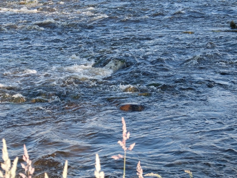 DSCF9498