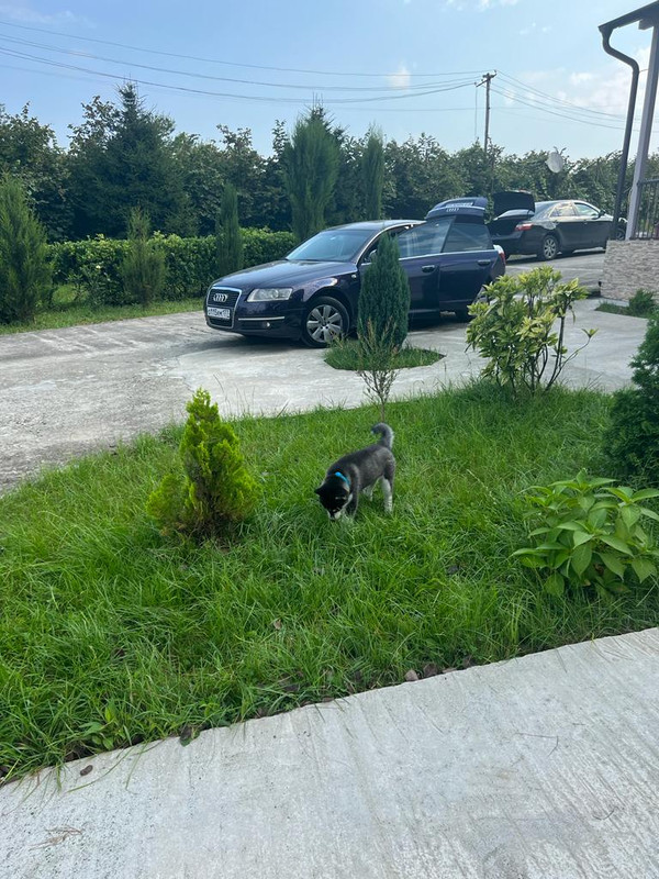 18E1D2C9-C040-493C-B6DF-7EE195A66A69