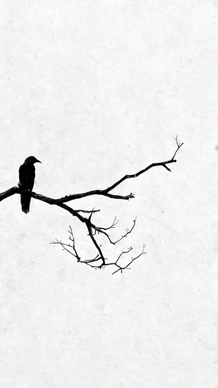 500983032_17866766760389108_7357568559988121767_n (1)