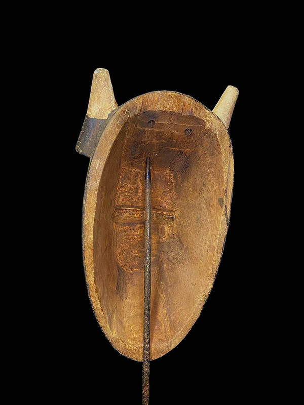 large image 10