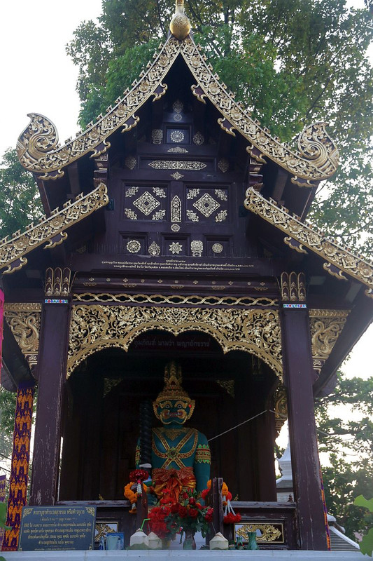 https://i.postimg.cc/X7P3DbKg/IMG-6281.jpg