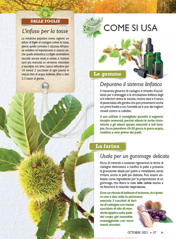 Sal Nat Ott 2021 (6)