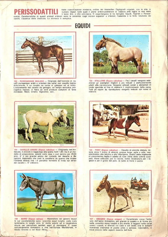 Animali-di-Tutto-il-Mondo-1965-Panini-29