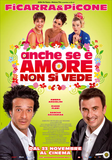 Anche se e' amore non si vede (2011).mkv BDRip 1080p x264 AC3/DTS iTA