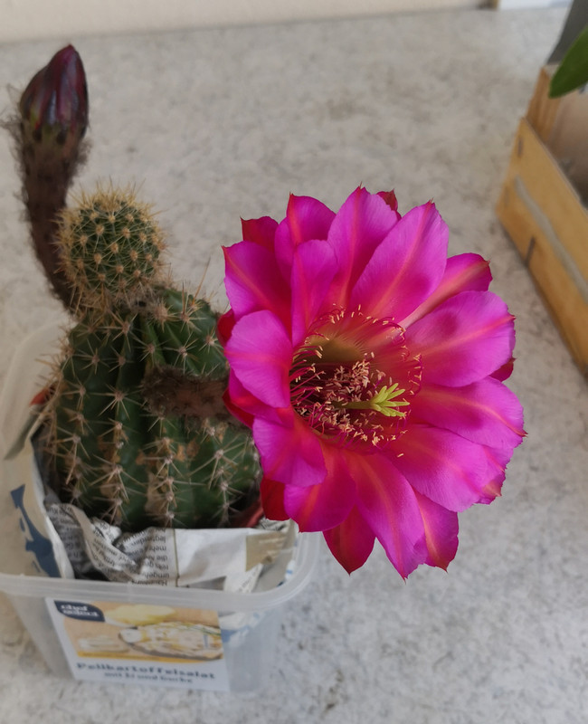 IMG_20220826_075429 (1)