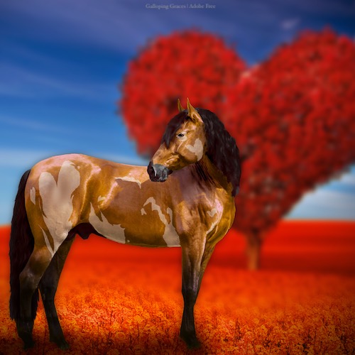 Valentine-Horse2.jpg