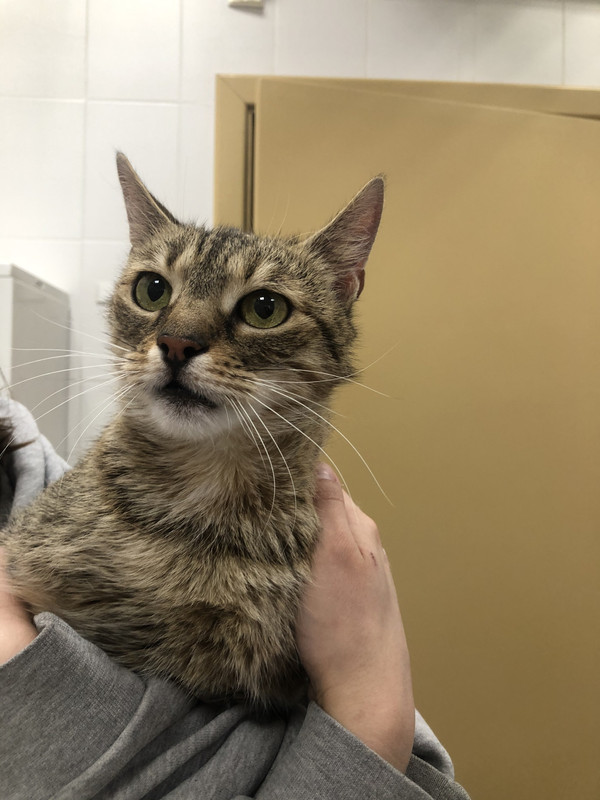 F93181C4-E168-4F07-80A2-C63A149DBB24