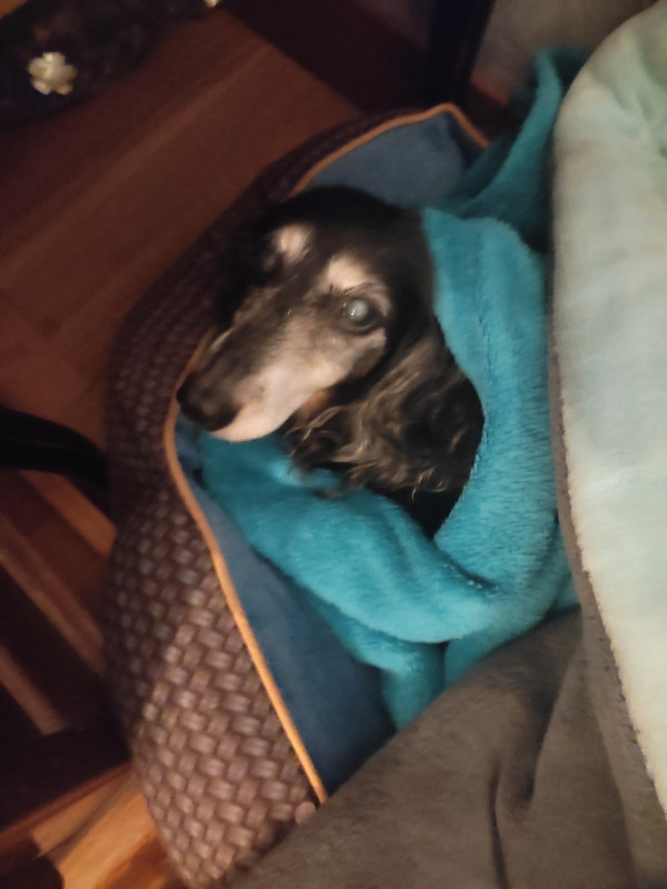 [Image: IMG-20240207-230004.jpg]