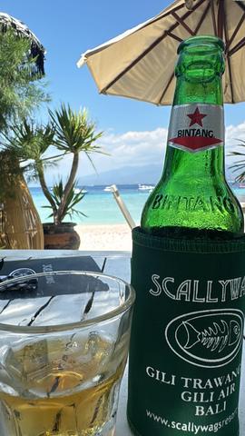 CUARTA PARADA: ISLAS GILI E ISLAS NUSA - 6 Aviones, 3 barcos y 2 trenes, empezando en Estambul y terminando Kuala Lump (8)