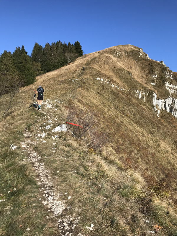 26C20FB4-D4B8-4735-9F22-A3A39ACE0DEF