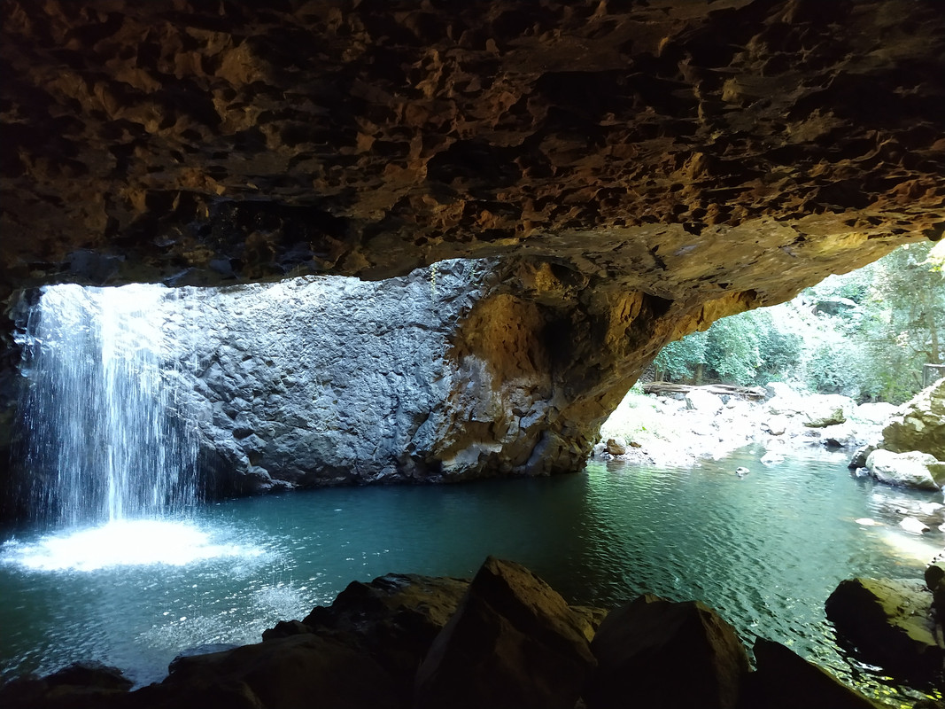 AUSTRALIA , "QUE GRAN PAIS" - Blogs de Australia - SPRINGBROOK NATIONAL PARK (7)