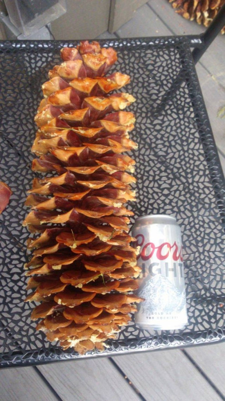 Awesome-40