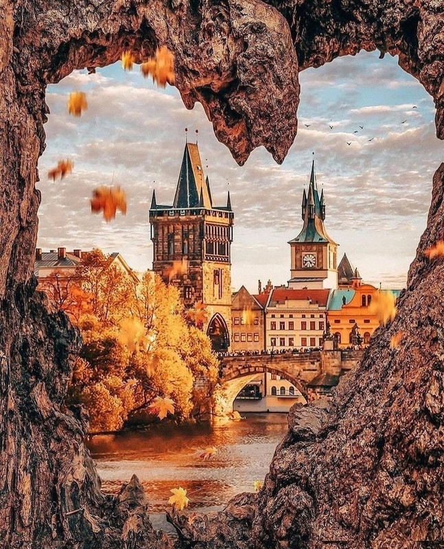 Screenshot_20231207_150022_Instagram