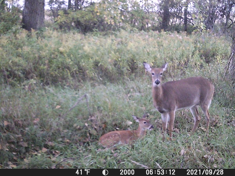 2738C370-6C2F-4B08-BD39-0B11E325DC9D