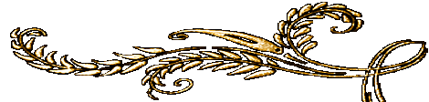 ndbxzoxn8eq