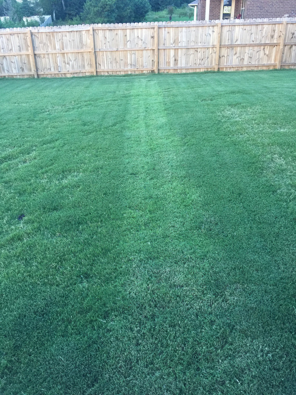 7895EC54-DA2C-45A9-836C-A646E1162F92