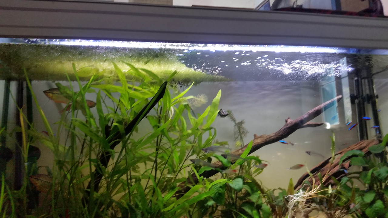 16764653768651299036543