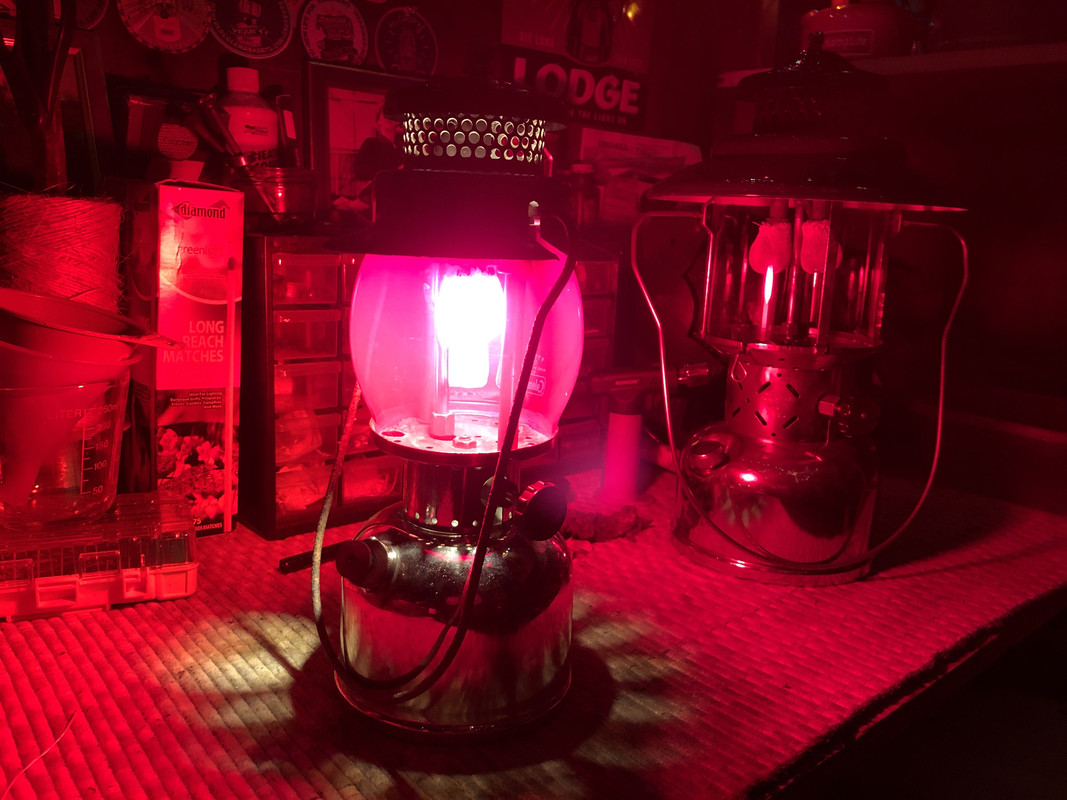 8E7782EE-A137-4EF9-876B-225171A68EA4