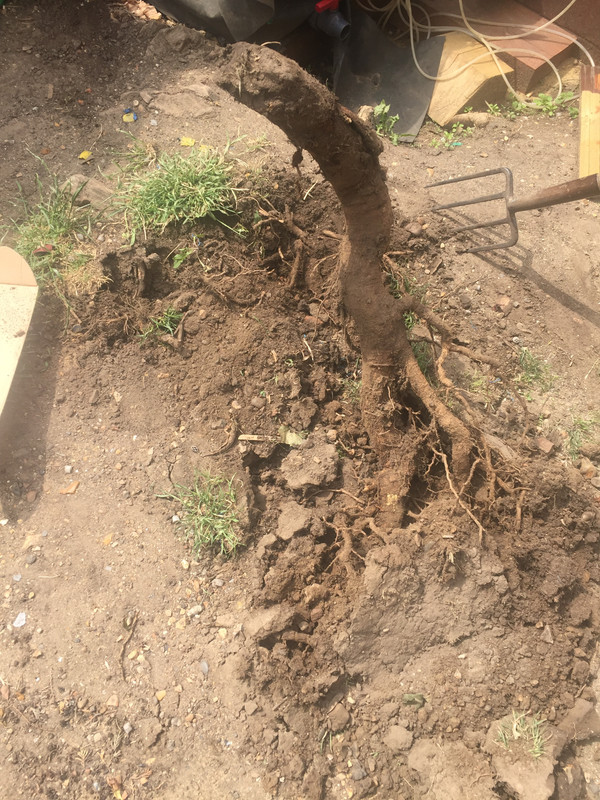 44C4BC55-4CB0-4C24-B179-C118C6AF77A9