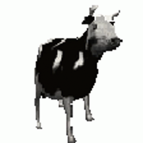 b1ca42cfcb5957e67aa89901c3ee3b6b