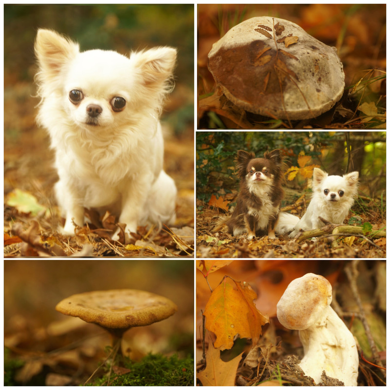 InShot_20251019_175608713