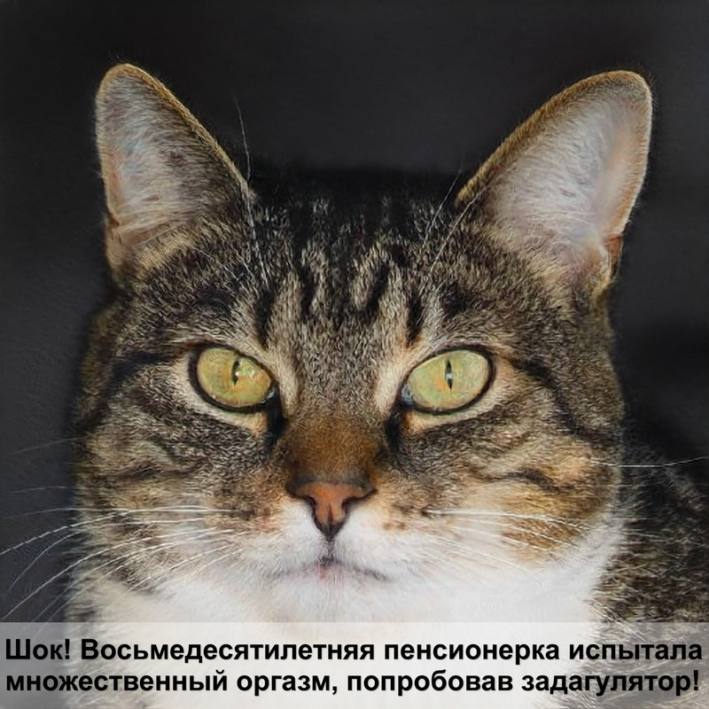 лежанка для кошки своими руками