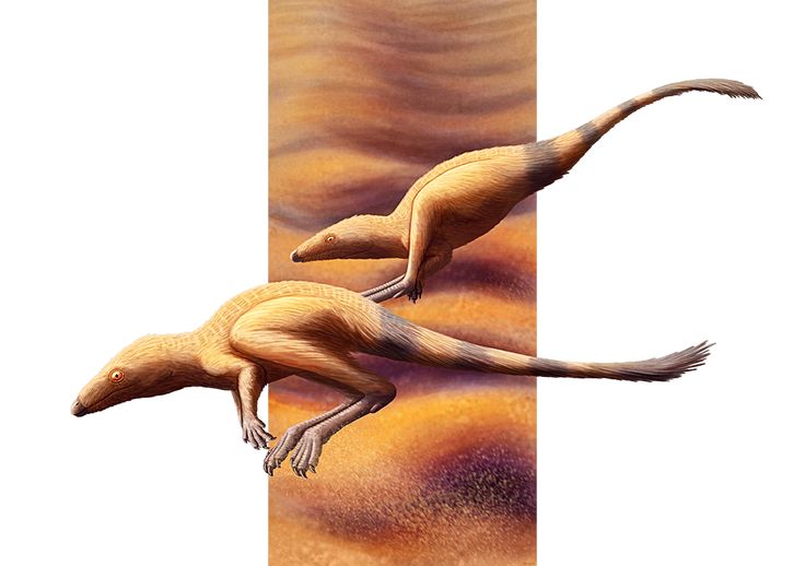 a17e9787968cc3a5a2114d40effe23e7