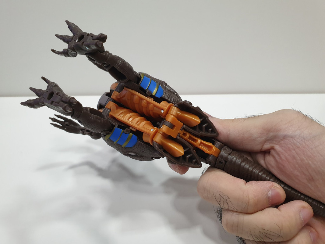 KINGDOM-VOYAGER-DINONOT-05