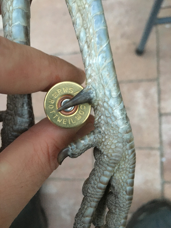 5BE3A494-0B76-4DAE-BF54-F284859726AB